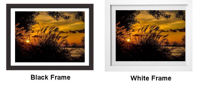 Frame Choice Frame Choice